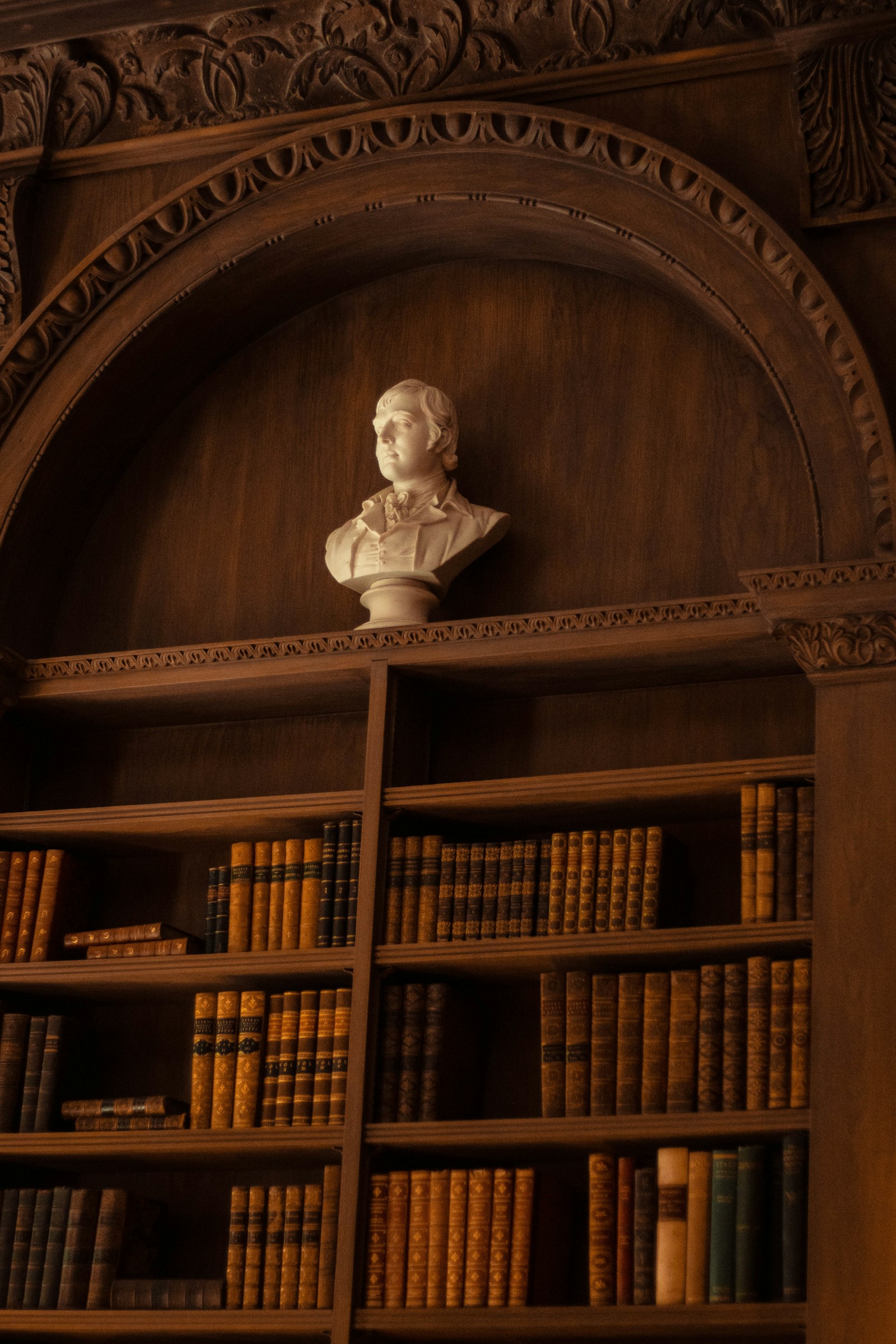 Dark wood paneled law library with leather-bound legal volumes and a marble bust glowing under warm lamplight